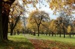Herbst2006 11 18 13 43 32 DxO